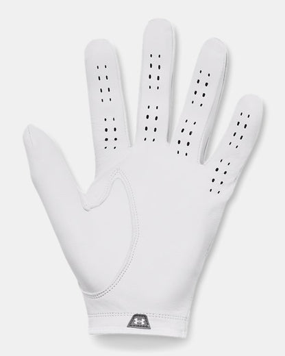 UA Drive Tour Men's Glove