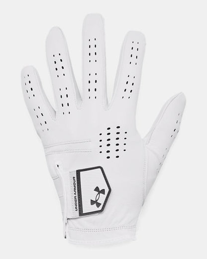 UA Drive Tour Men's Glove