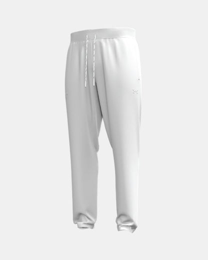 UA Hype Fleece Collegiate Men's Joggers