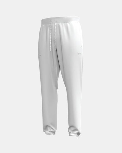 UA Hype Fleece Collegiate Men's Joggers