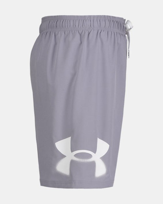 UA Logo Volley Men's Swim Shorts