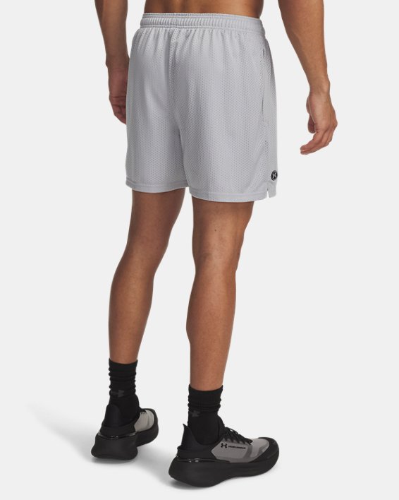 UA Icon Mesh Men's 5 Shorts