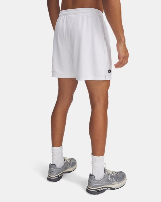UA Icon Mesh Men's 5 Shorts