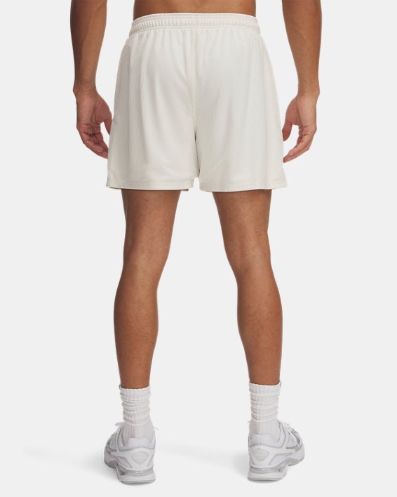 UA Icon Mesh Men's 5 Shorts
