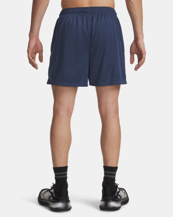 UA Icon Mesh Men's 5 Shorts