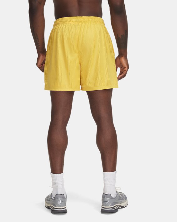 UA Icon Mesh Men's 5 Shorts