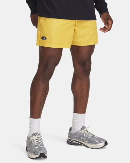 UA Icon Mesh Men's 5 Shorts