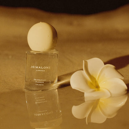 Frangipani Flower Cologne