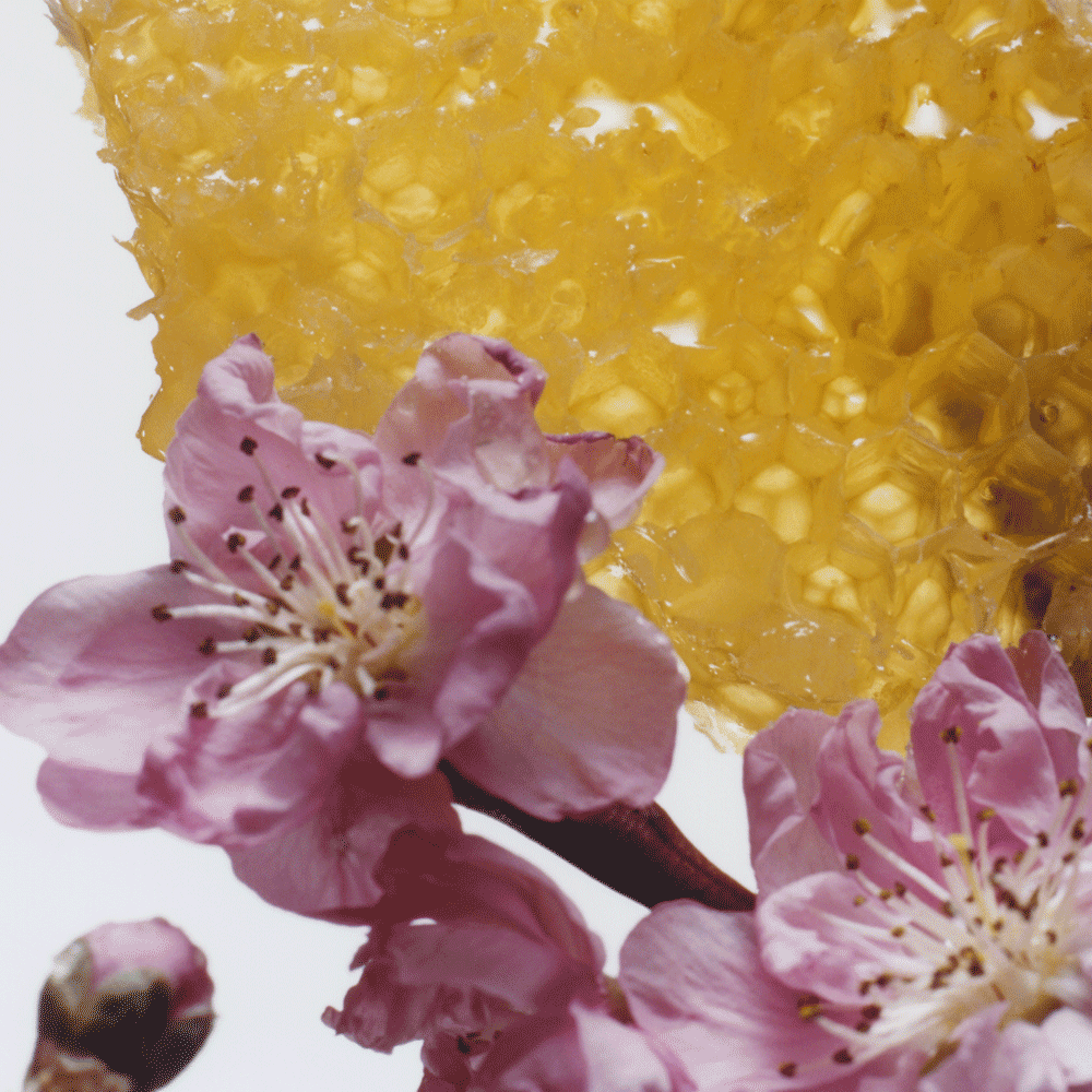 Nectarine Blossom & Honey Cologne