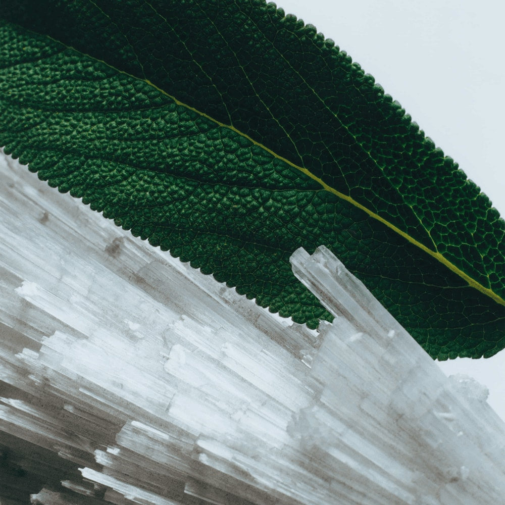 Wood Sage & Sea Salt Diffuser Refill