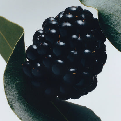 Blackberry & Bay Body Creme