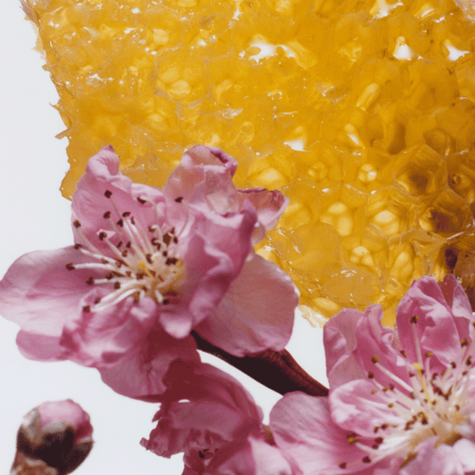 Nectarine Blossom & Honey Body Creme