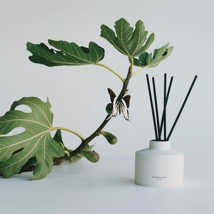 Fresh Fig & Cassis Refill