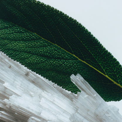 Wood Sage & Sea Salt Body Mist