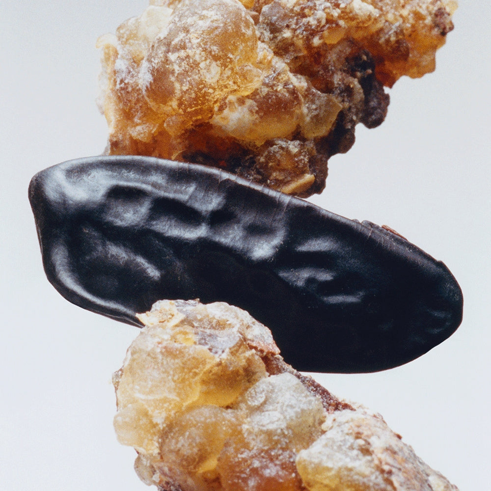 Myrrh & Tonka Body Creme