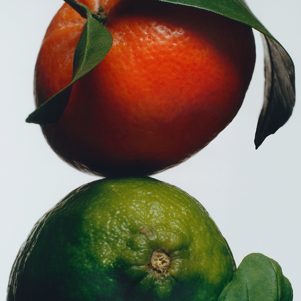 Lime Basil & Mandarin 9ml Cologne