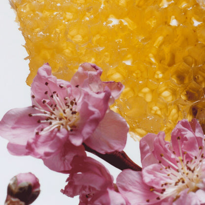 Nectarine Blossom & Honey Cologne